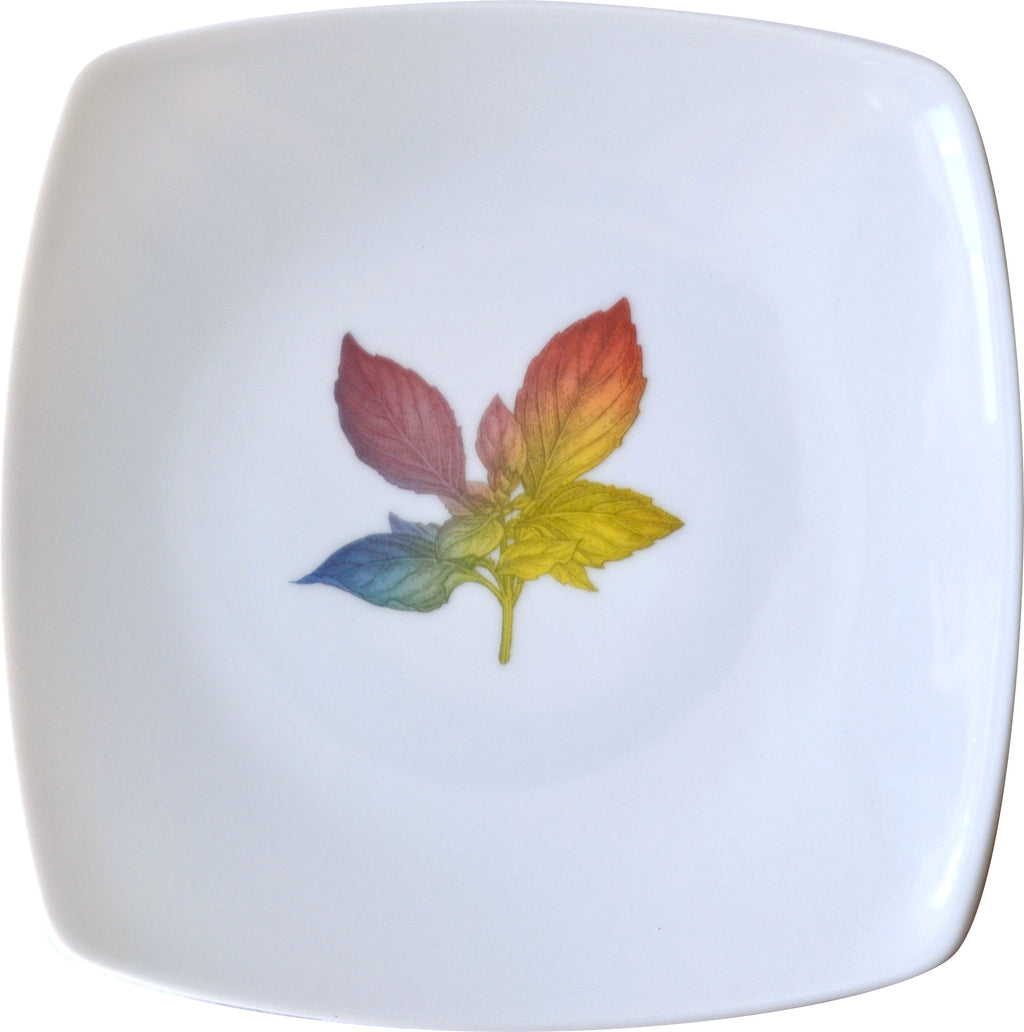 Rainbow Herbal Small Plate, Basil