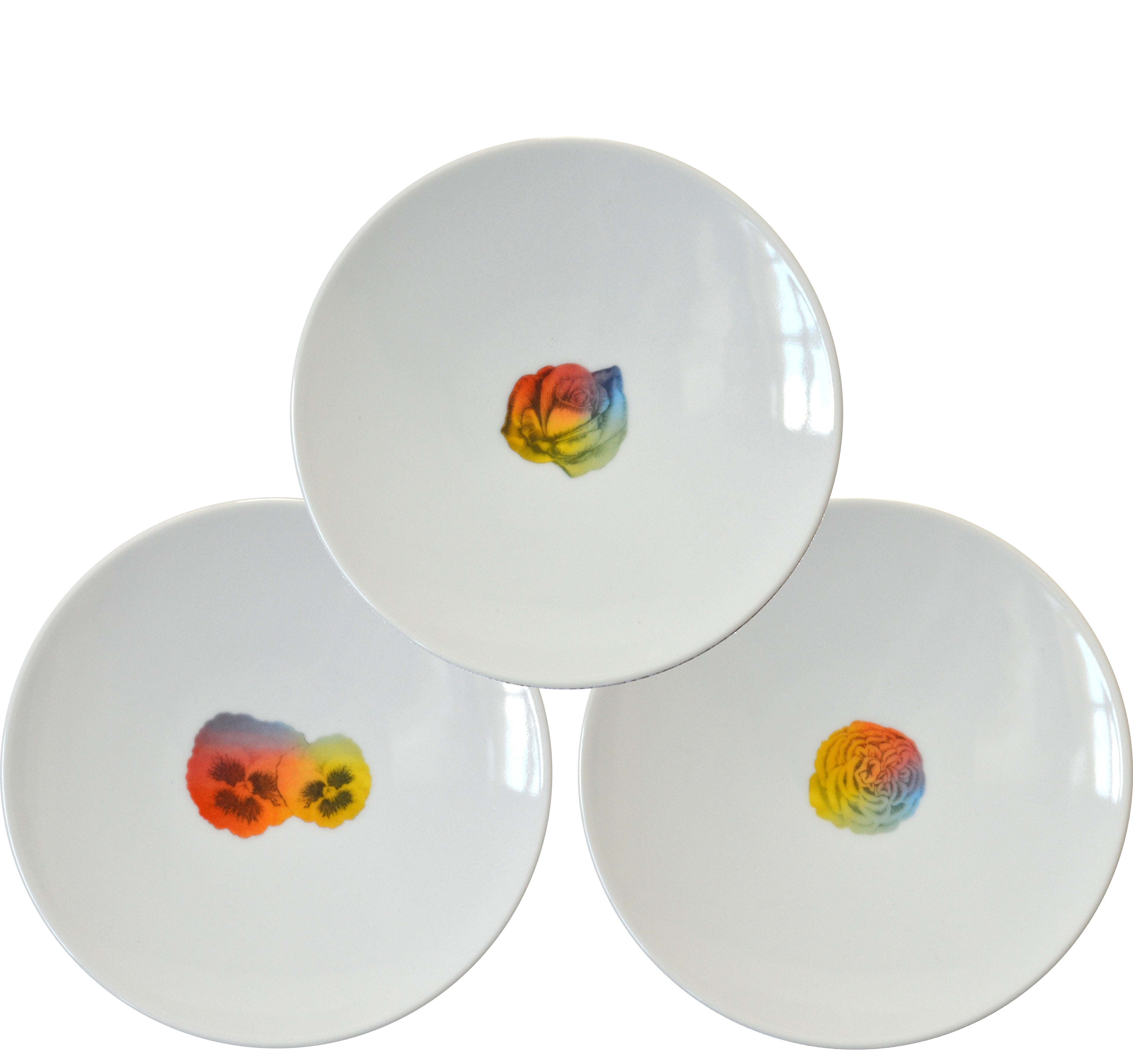 Rainbow Floral Small Plate Set