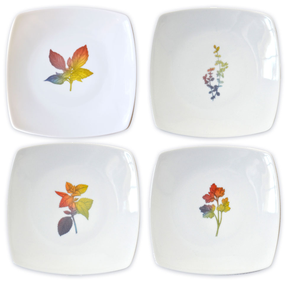 Rainbow Herbal Small Plate Set