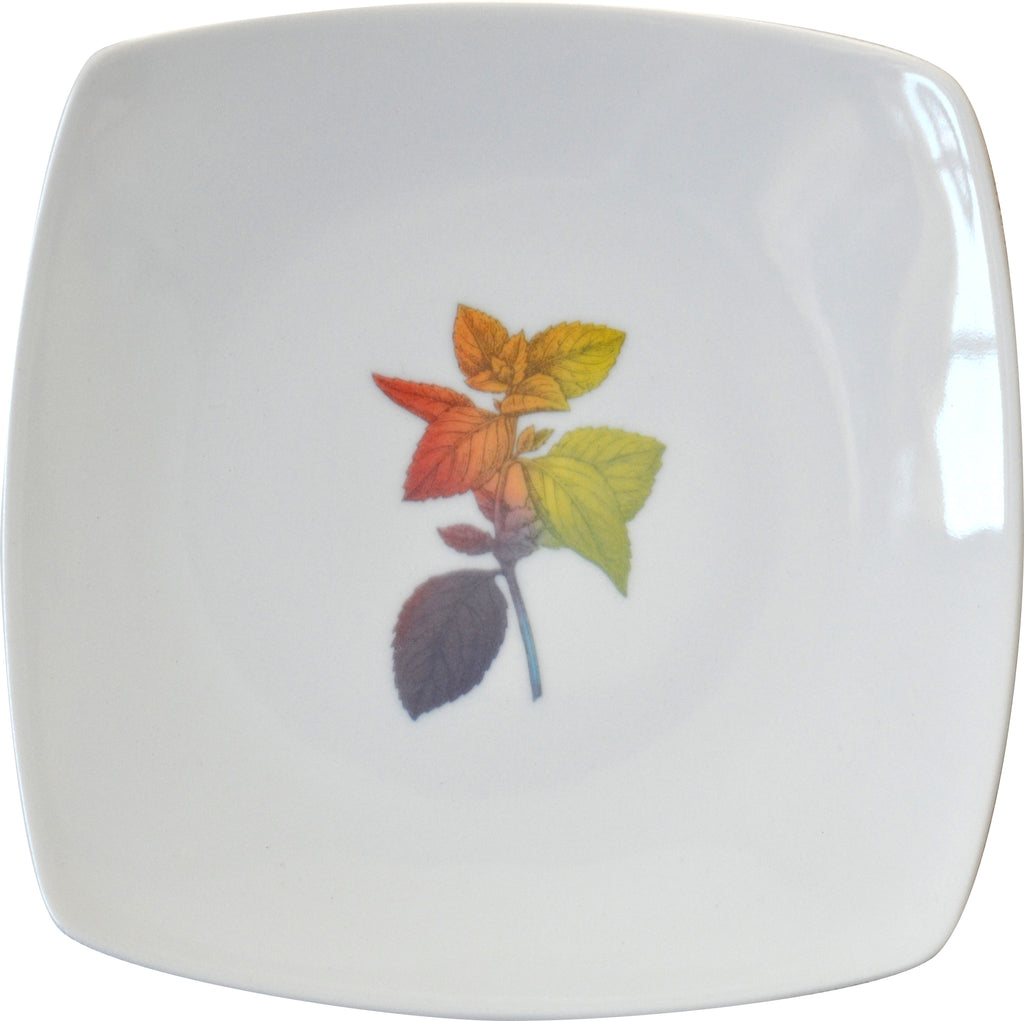 Rainbow Herbal Small Plate, Mint