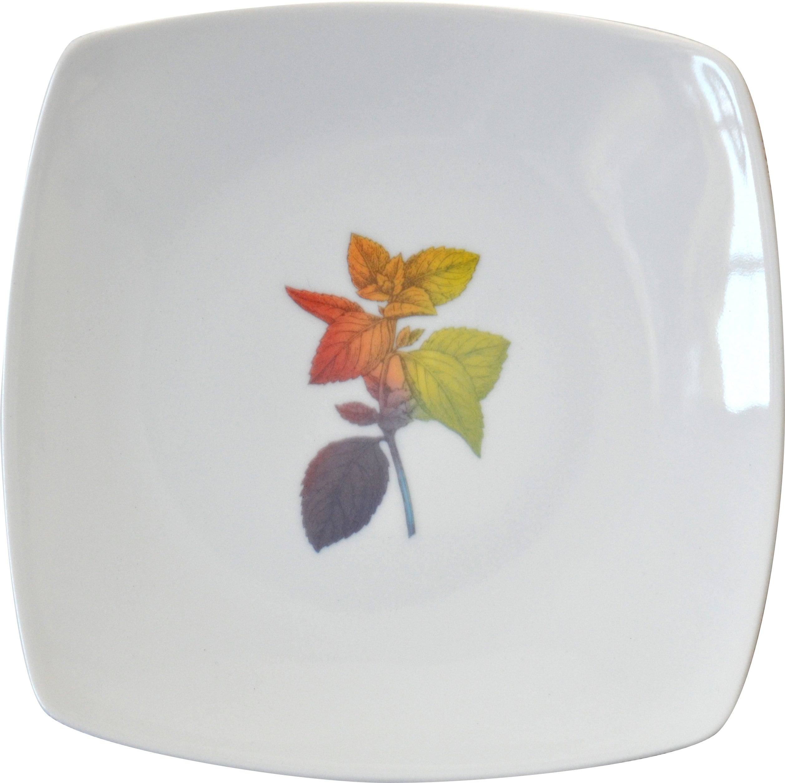 Rainbow Herbal Small Plate, Mint