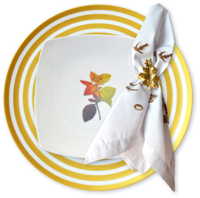 Rainbow Herbal Small Plate, Mint