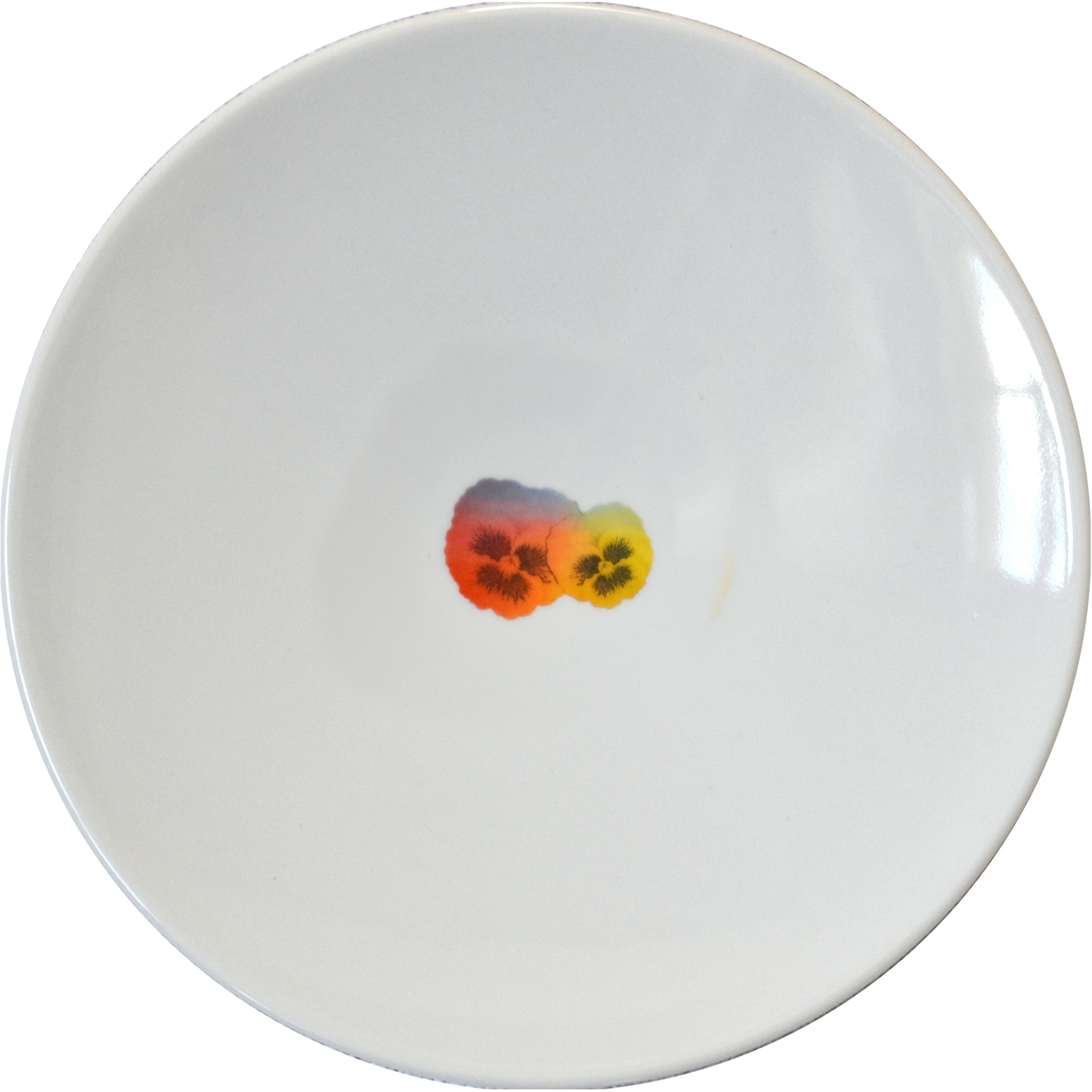 Rainbow Floral Dinner Plate, Pansy