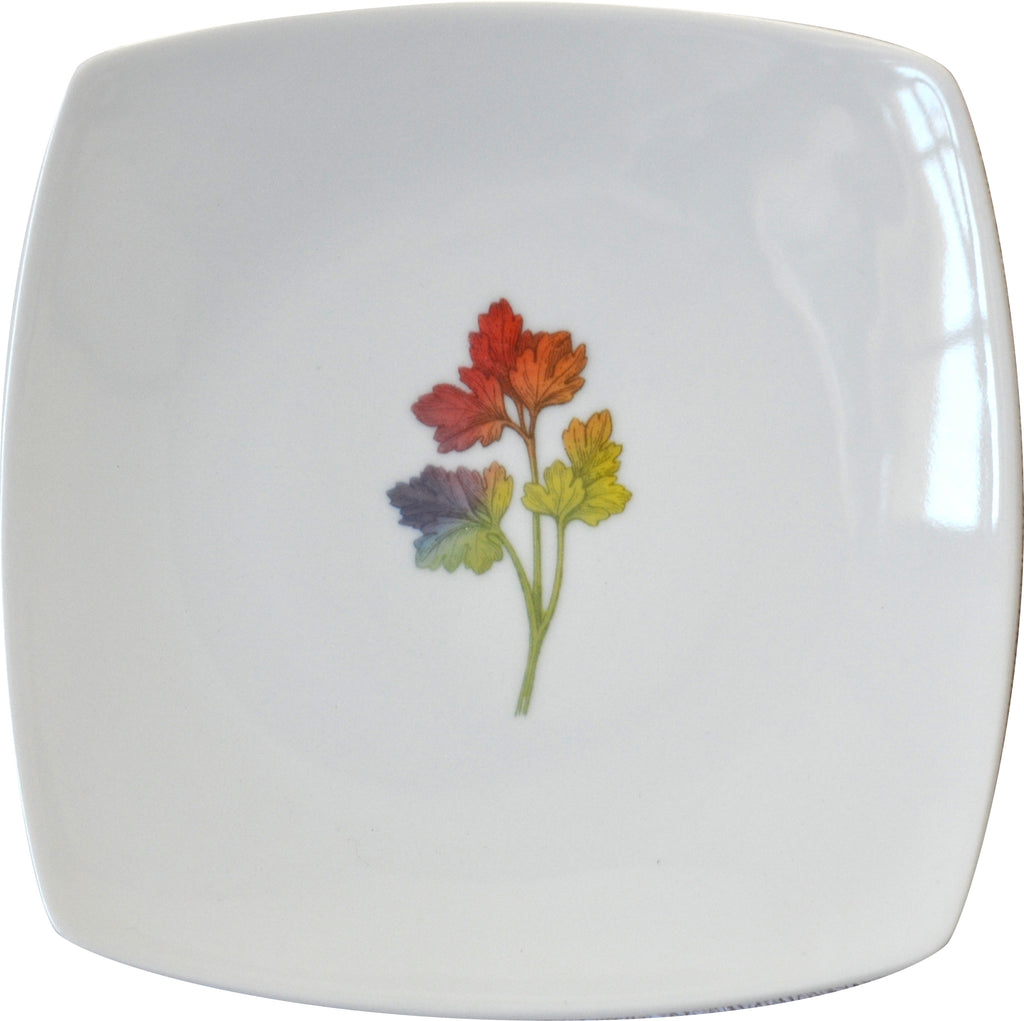 Rainbow Herbal Small Plate, Parsley