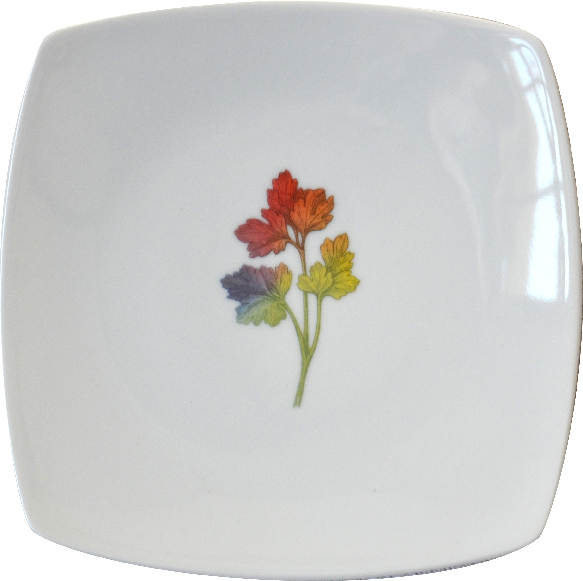 Rainbow Herbal Small Plate, Parsley