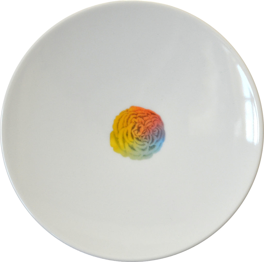 Rainbow Floral Small Plate, Peony