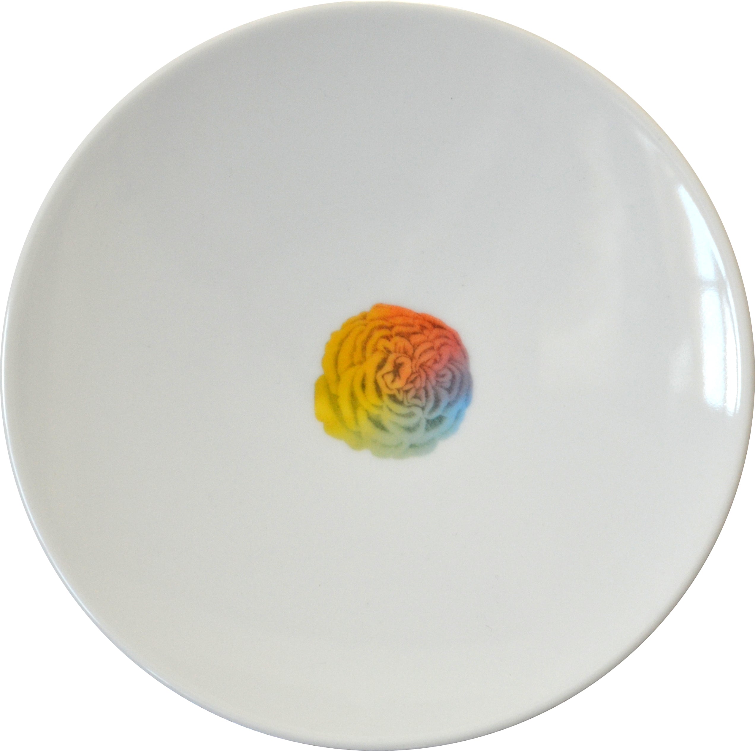 Rainbow Floral Small Plate, Peony