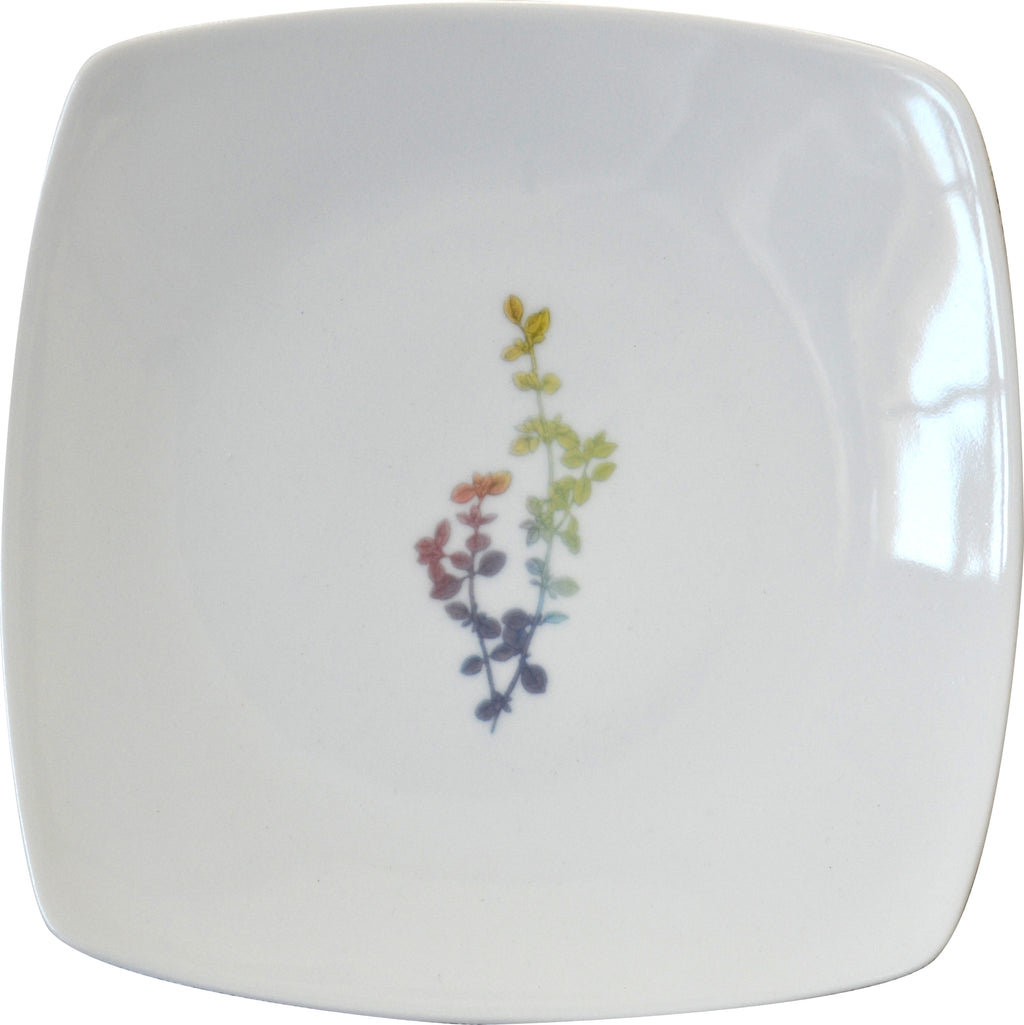 Rainbow Herbal Small Plate, Thyme